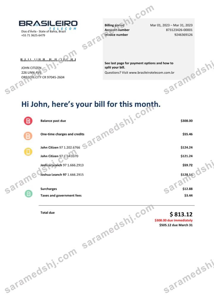 Brazil Braziliero Telecom telecommunication bill Word and PDF template